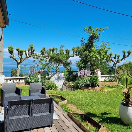 Appartement Cozy 1 Panoramique Lac Leman Thonon-Les-Bains Exterior foto